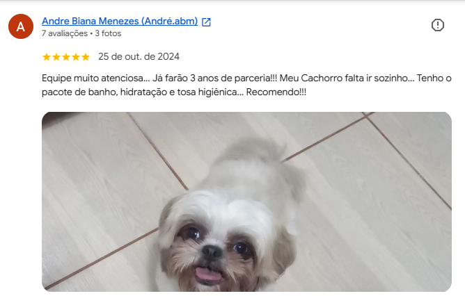 Avaliação 5 estrelas de cliente no Google
