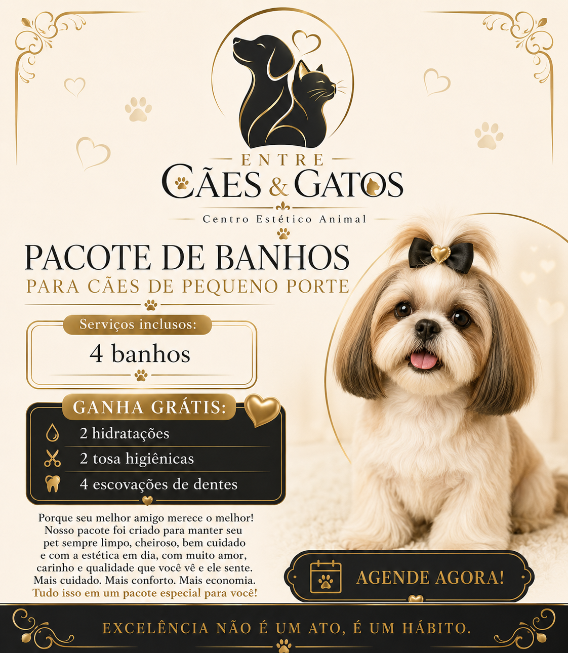 Pacote de banhos para cães de pequeno porte: 4 banhos com 2 hidratações, 2 tosas higiênicas e 4 escovações de dentes grátis