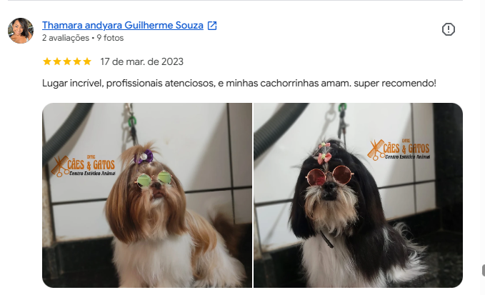 Avaliação 5 estrelas de cliente no Google