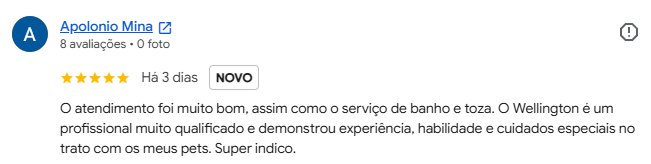 Avaliação 5 estrelas de cliente no Google