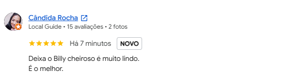 Avaliação 5 estrelas de cliente no Google