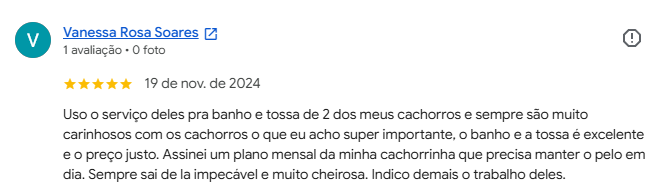 Avaliação 5 estrelas de cliente no Google